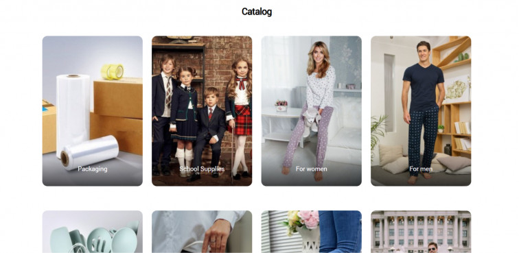 Showcase of main sections on the homepage